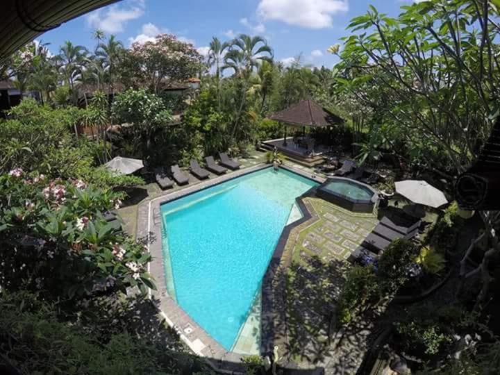 Okawati Boutique Bungalows Ubud Buitenkant foto